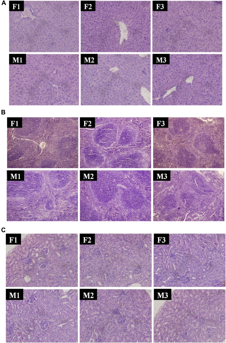 Figure 1