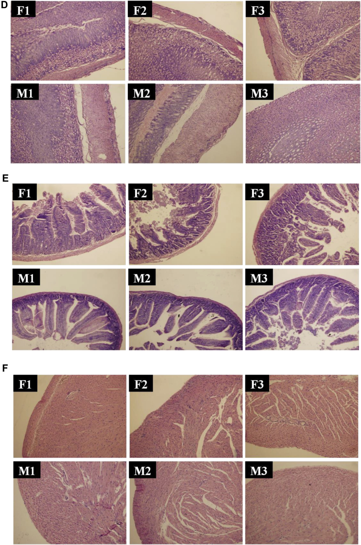 Figure 1