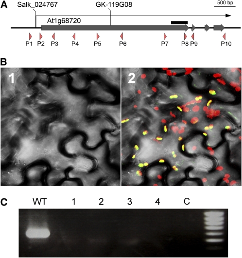 Figure 2.