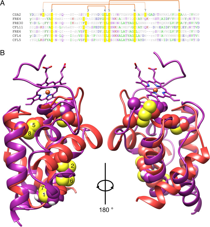 Figure 6—figure supplement 1.