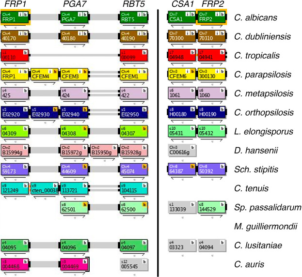 Figure 1—figure supplement 3.