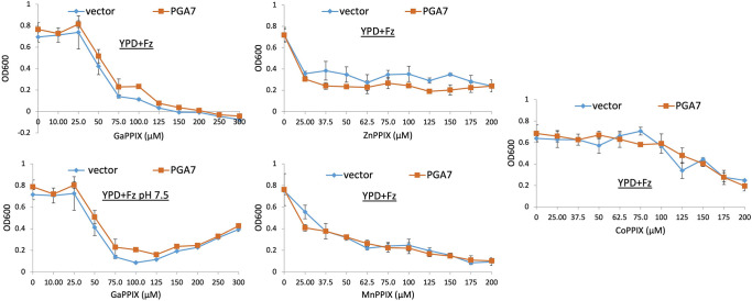 Figure 3—figure supplement 1.