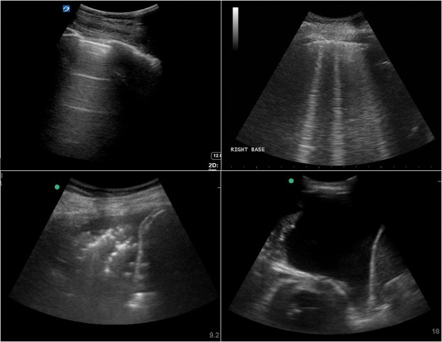 Fig 1.