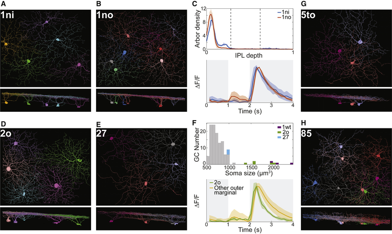 Figure 6: