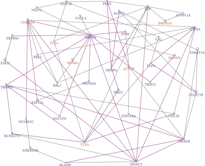 Figure 5