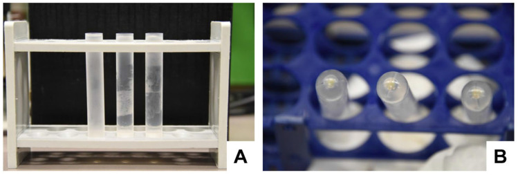 Figure 10