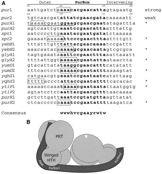 FIG. 9.