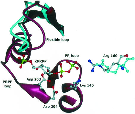 FIG. 6.