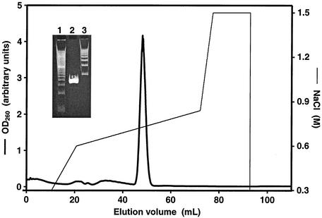 FIG. 7.