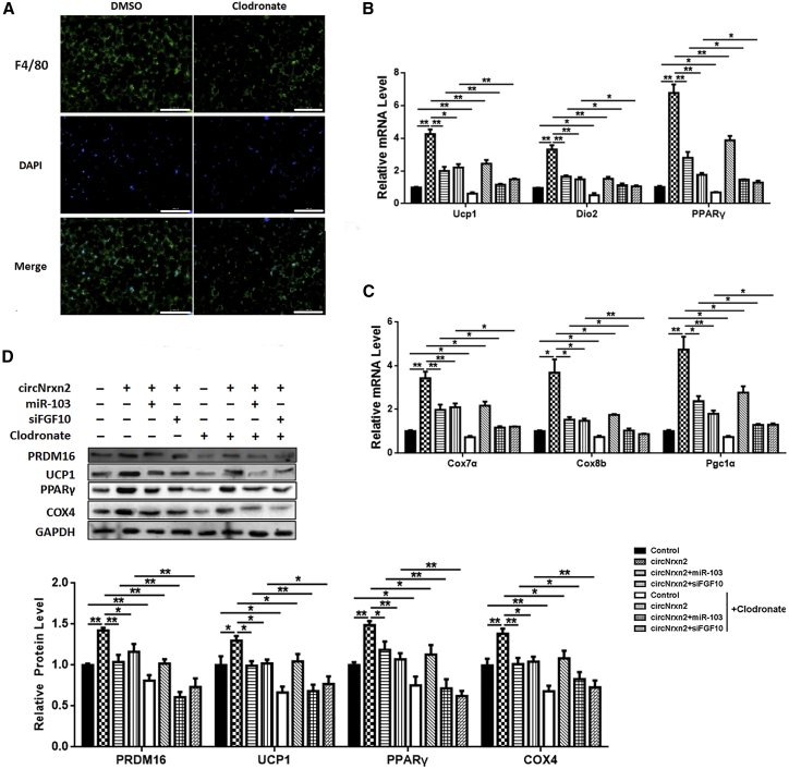 Figure 6