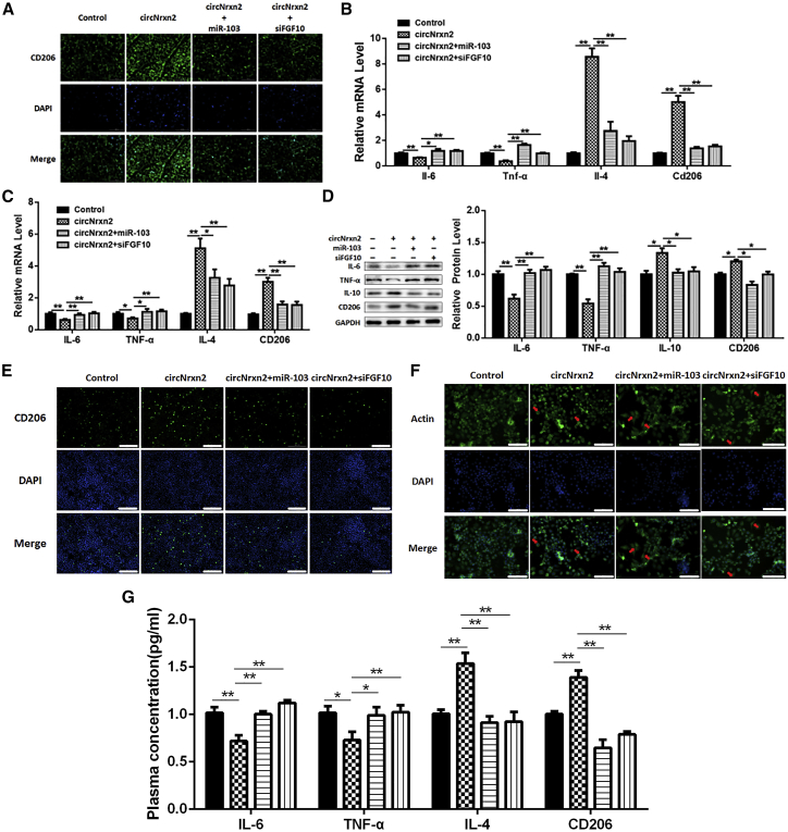 Figure 4