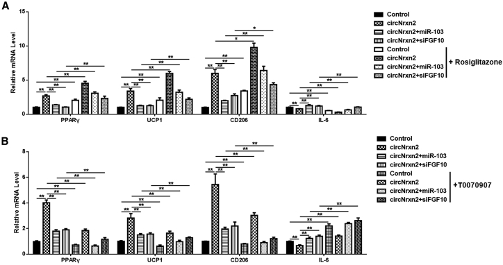 Figure 5