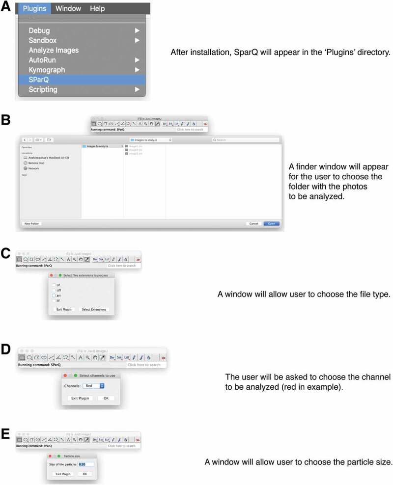 Figure 2.