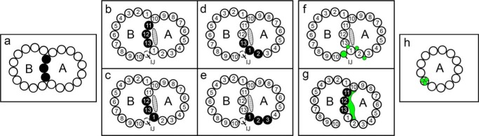 FIGURE 1.