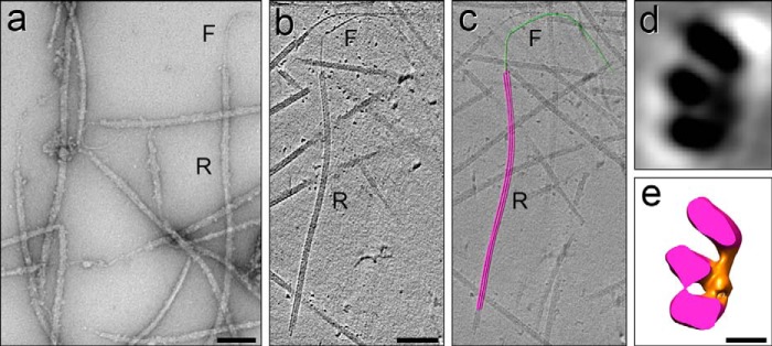 FIGURE 12.