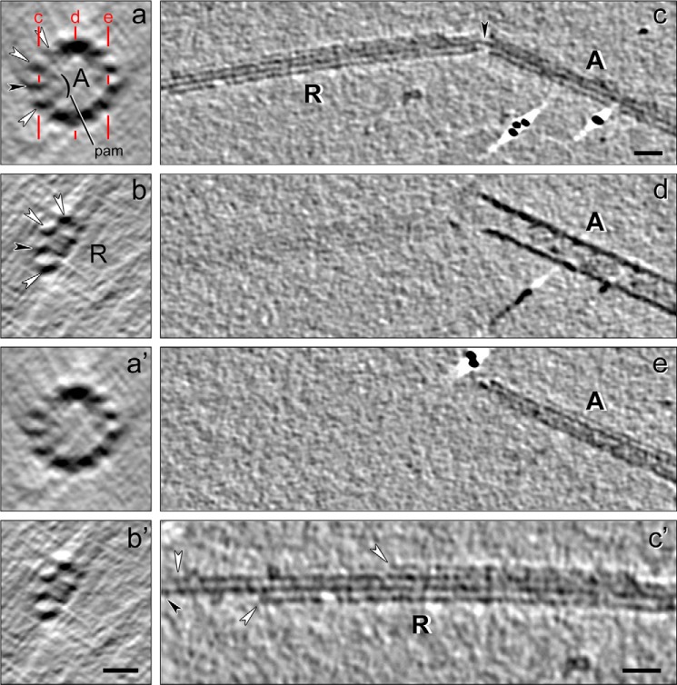 FIGURE 13.