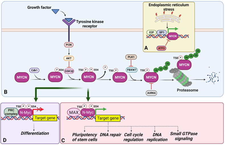 Figure 2