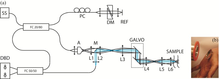 Fig. 1