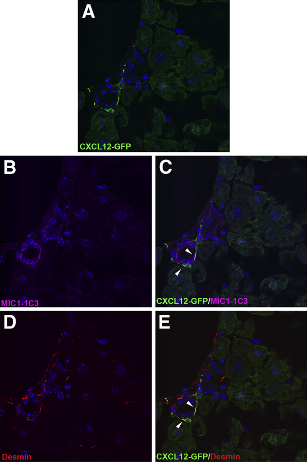 Figure 3