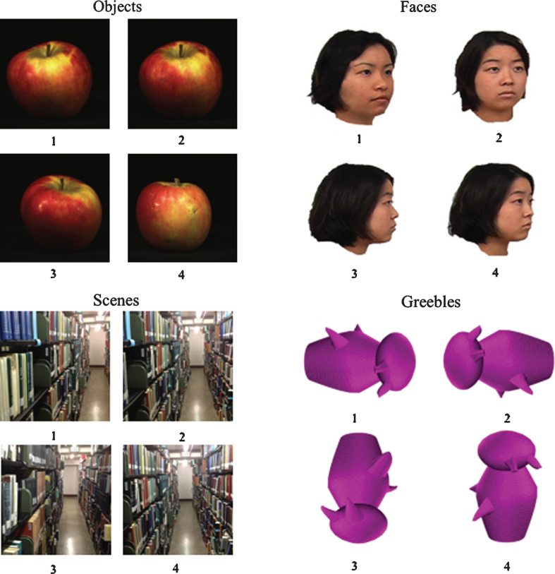 Fig.1