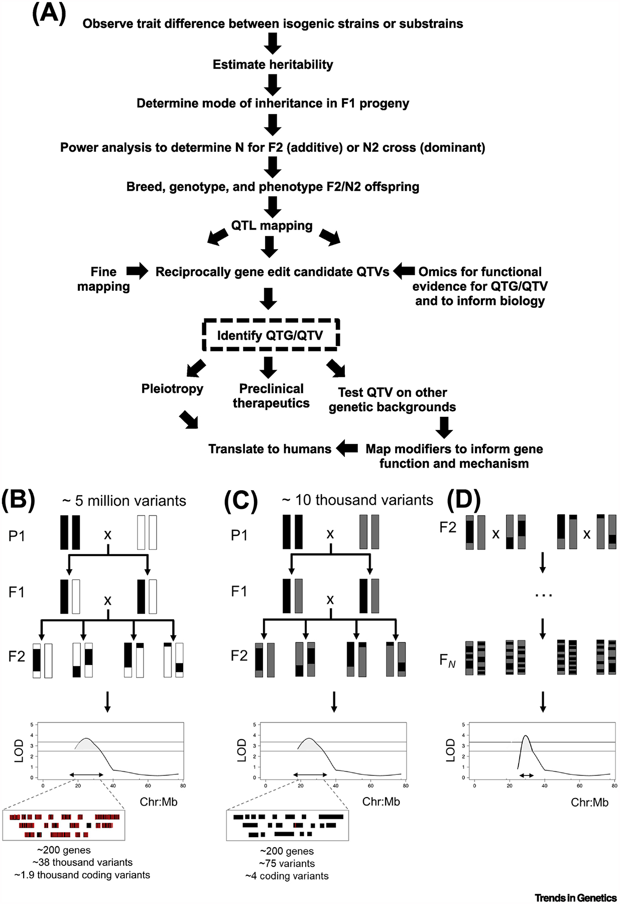 Figure 1Key Figure.