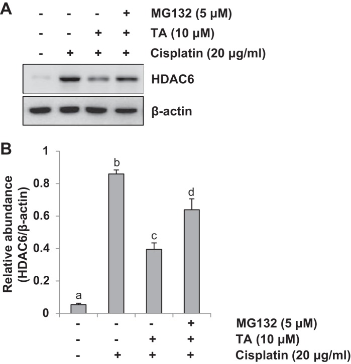 Fig. 11.