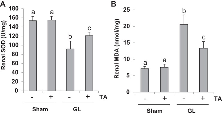 Fig. 10.