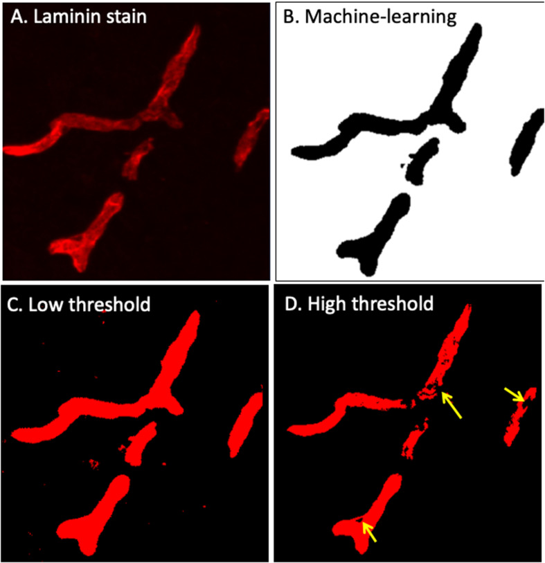 FIGURE 3