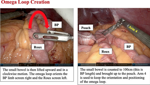 graphic file with name 464_2023_10071_Figea_HTML.jpg