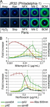 FIG. 1.