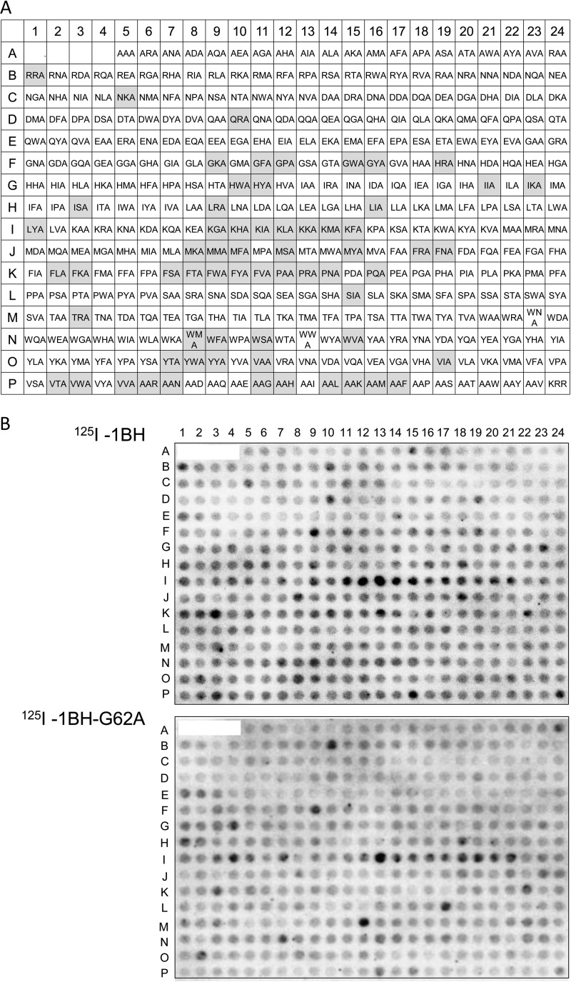 FIG 3