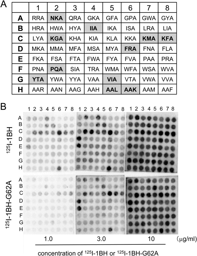 FIG 4