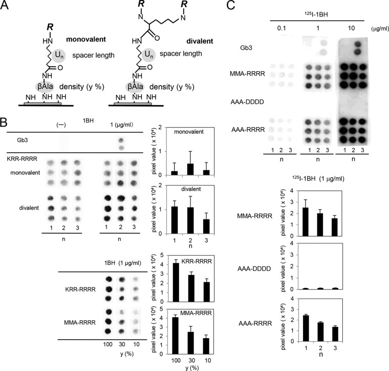 FIG 2