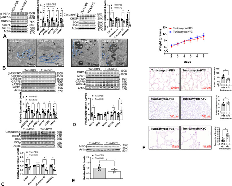 Fig 10