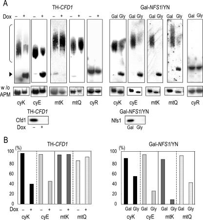 FIG. 1.