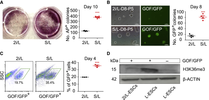 Figure 4