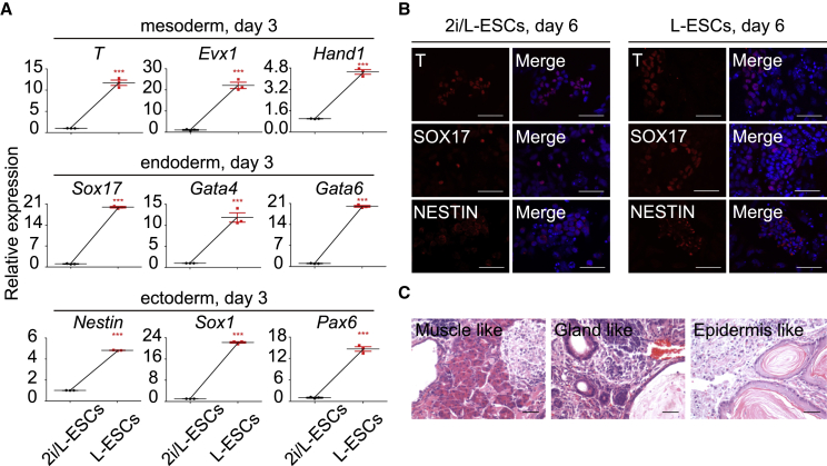 Figure 6