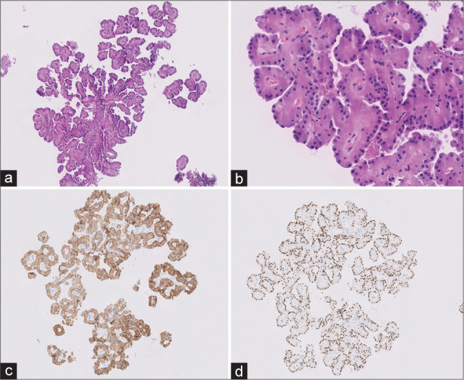 Figure 3: