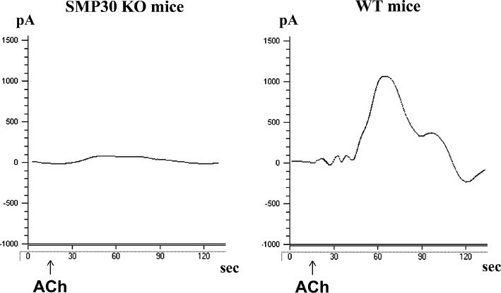 Fig. 9.