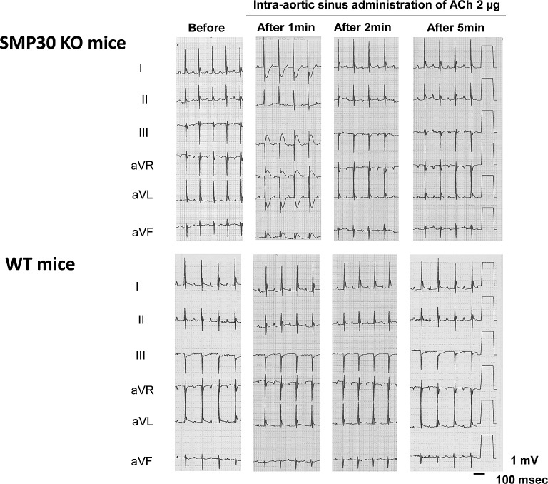 Fig. 10.