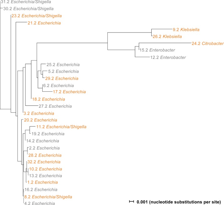 Fig 6