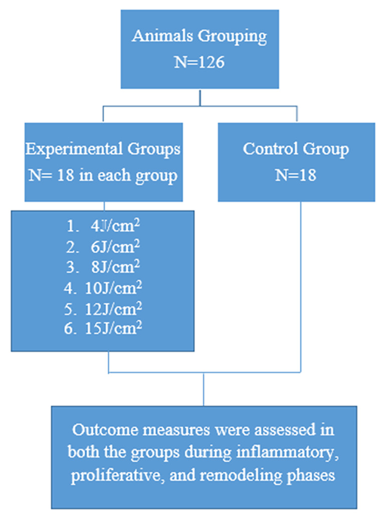 Figure. 1 
