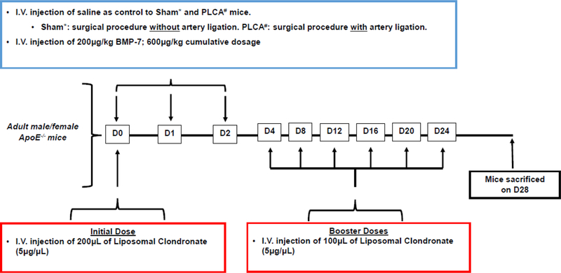 Fig. 1: