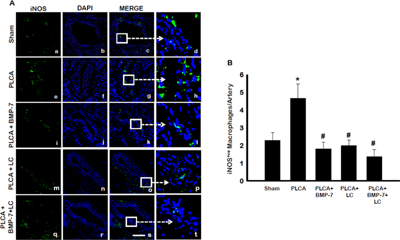 Fig. 4: