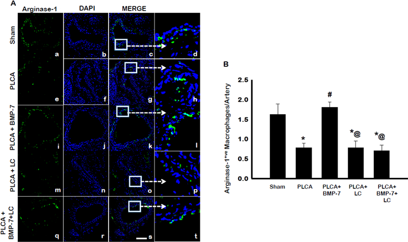 Fig. 6: