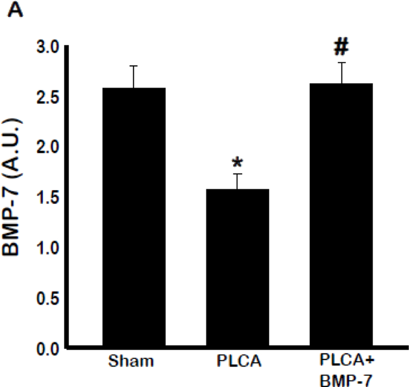 Fig. 11: