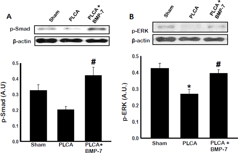 Fig. 10: