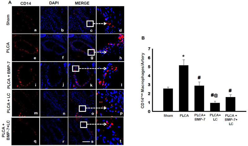 Fig. 3: