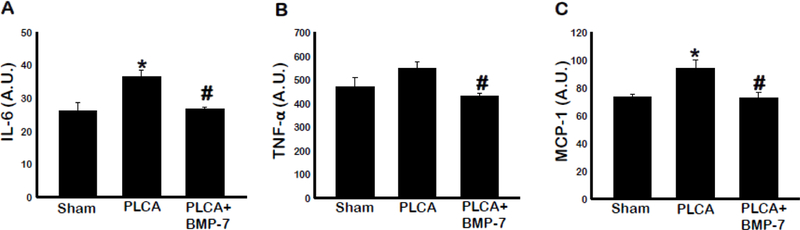 Fig. 7: