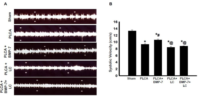 Fig. 12: